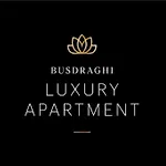 Busdraghi Luxury 公寓 卢卡